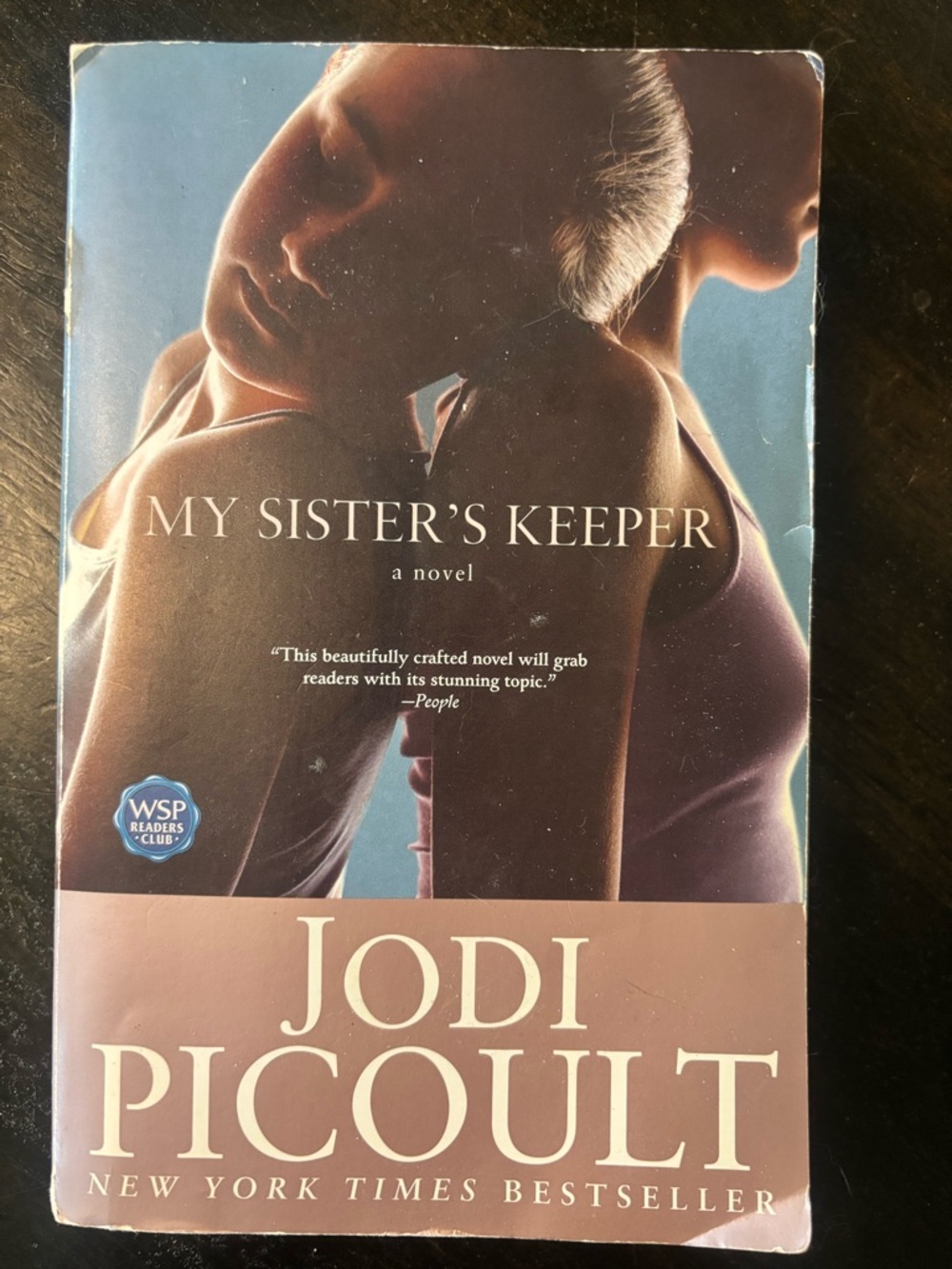 My Sister's Keeper by Jodi Picoult - Dusty Rose & Blue Cover